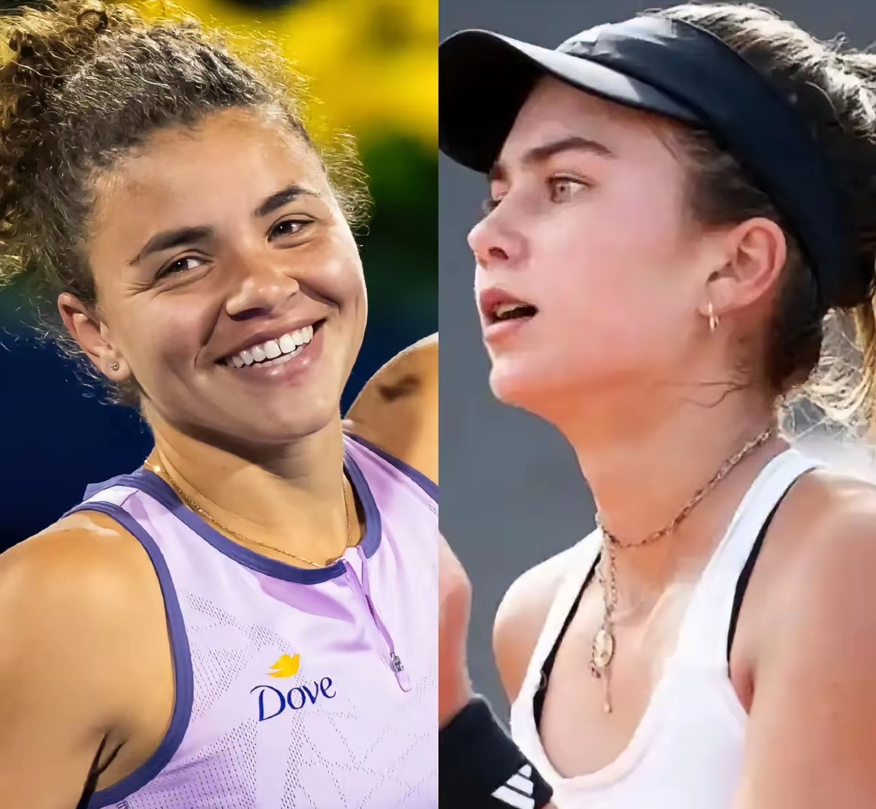 南海新区市 南海新区市