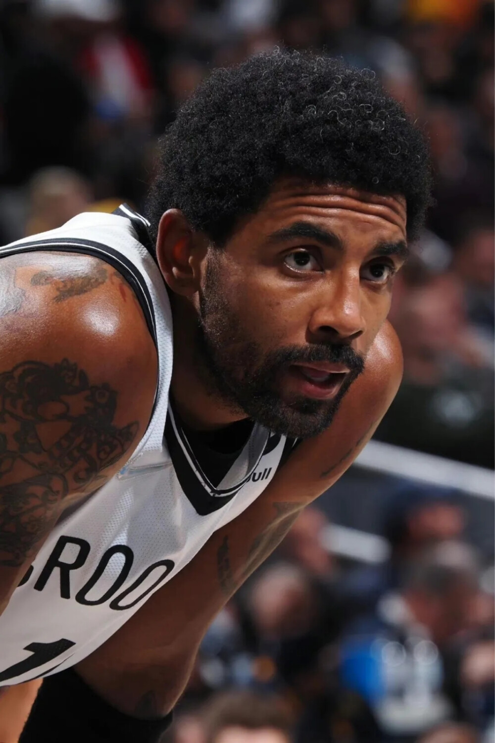 稳的表现 稳的表现